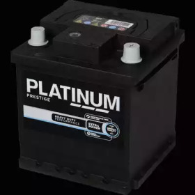 PLATINUM 202e -  