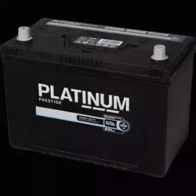 PLATINUM 250e -  
