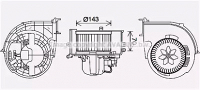 PRASCO bw8574 -