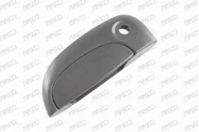 PRASCO ds9178032 -  Ручка двери