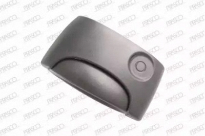 PRASCO ds9178131 -  Ручка двери