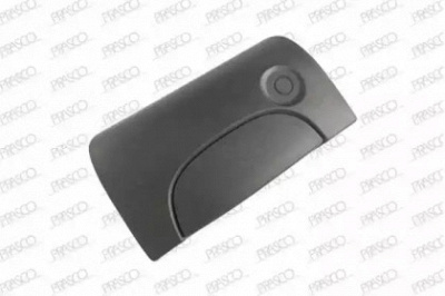 PRASCO ds9178331 -  Ручка двери