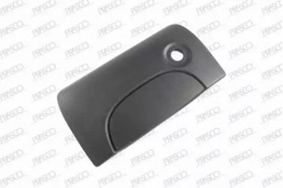 PRASCO ds9178341 -  Ручка двери