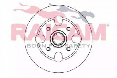 RAICAM rd00001 -