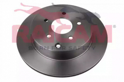 RAICAM rd00179 -