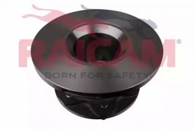 RAICAM rd00190 -