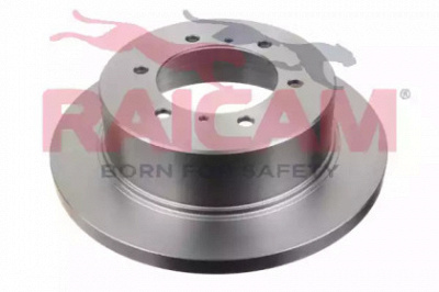 RAICAM rd00339 -