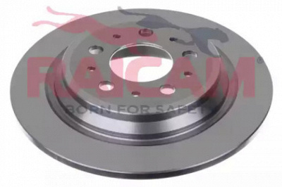 RAICAM rd00955 -  