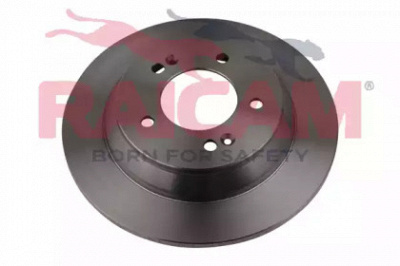 RAICAM rd01253 -  