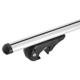 RAMEDER 120839 -  
