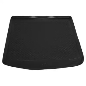 RAMEDER 138481 -  