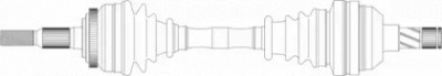 REMY drds24036 -