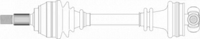 REMY drds29024 -