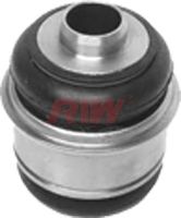 RIW bw10003 -  Подвеска, корпус колесного подшипника