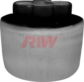 RIW fi11037 -  Подвеска, рычаг независимой подвески колеса