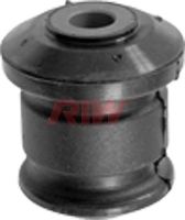 RIW fo11019 -  Подвеска, рычаг независимой подвески колеса