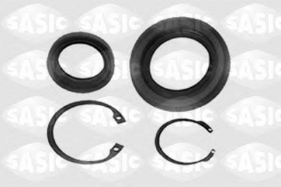 SASIC 1004011 -  