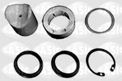 SASIC 1004022s -  