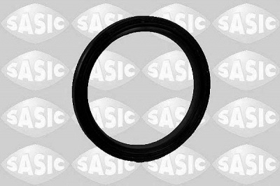 SASIC 1950004 -  Уплотняющее кольцо, дифференциал