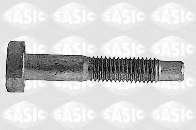 SASIC 5223433 -  Зажимный болт, несущий / направляющий шарнир