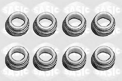 SASIC 9560050s -  Комплект прокладок, стержень клапана