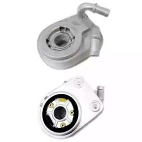 SIDAT 590061 -  