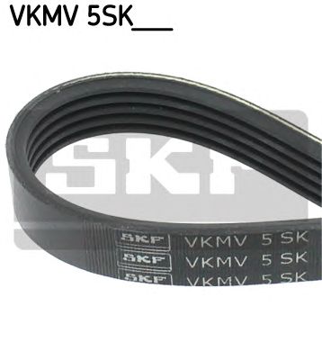 SKF vkmv5sk595 - Поликлиновой ремень