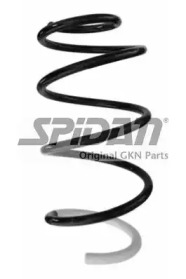 SPIDAN 87250 -  Пружина ходовой части