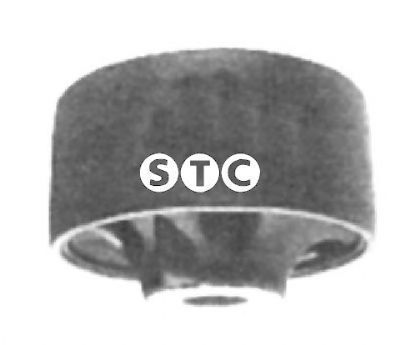 STC t402829 -  Подвеска, рычаг независимой подвески колеса