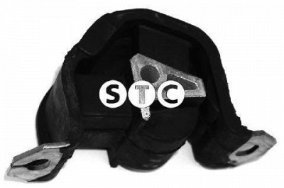STC t404170 -  Подвеска, двигатель