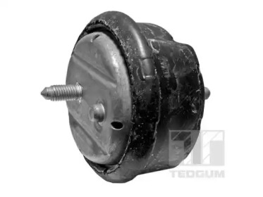 TEDGUM 00089803 -  Подвеска, двигатель