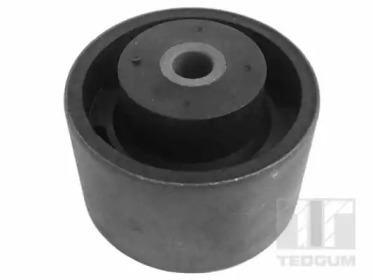 TEDGUM 00144283 -  Кронштейн, подвеска двигателя