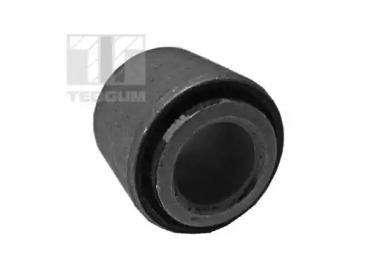 TEDGUM 00149685 -  