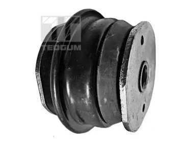 TEDGUM 00210378 -  