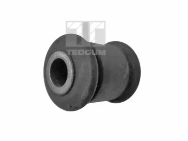 TEDGUM 00221069 -