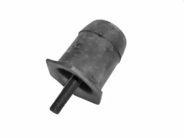 TEDGUM 00221166 -