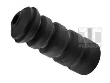 TEDGUM 00222304 -