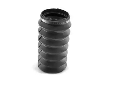 TEDGUM 00222305 -