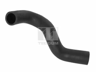 TEDGUM 00222783 -