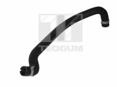 TEDGUM 00222798 -