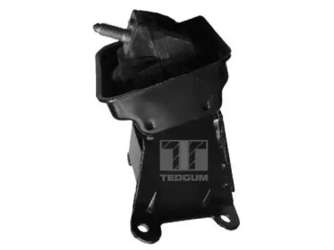 TEDGUM 00223065 -