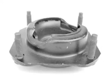 TEDGUM 00223637 -  