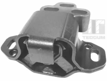 TEDGUM 00224363 - Кронштейн, подвеска двигателя