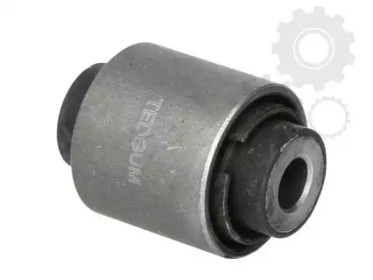 TEDGUM 00224527 -