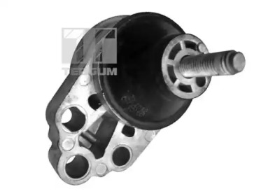 TEDGUM 00226305 - Подвеска, двигатель