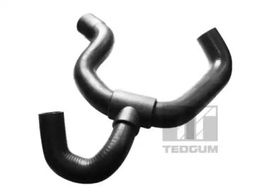 TEDGUM 00226573 -