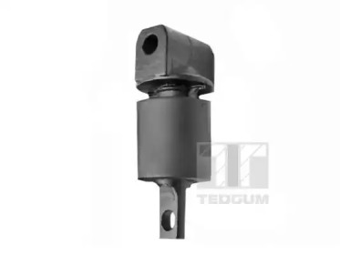 TEDGUM 00226835 -