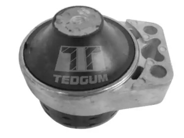 TEDGUM 00226952 - Подвеска, двигатель
