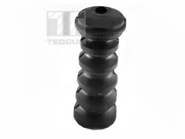 TEDGUM 00227876 -