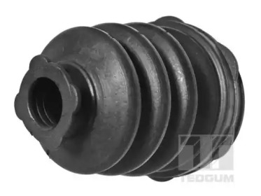 TEDGUM 00228047 -